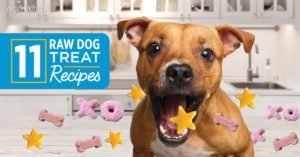Dog Treat Recipes