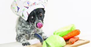 Dog with a chef's hat on licking his nose in front of organic food